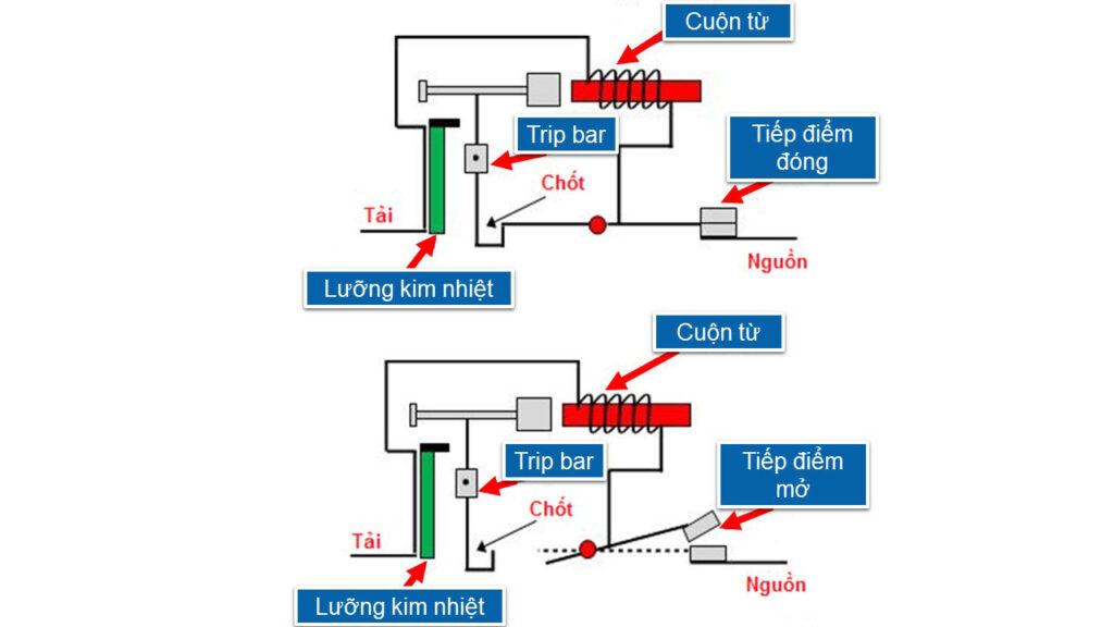 CP điện là gì